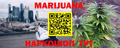 гидра Бузулук