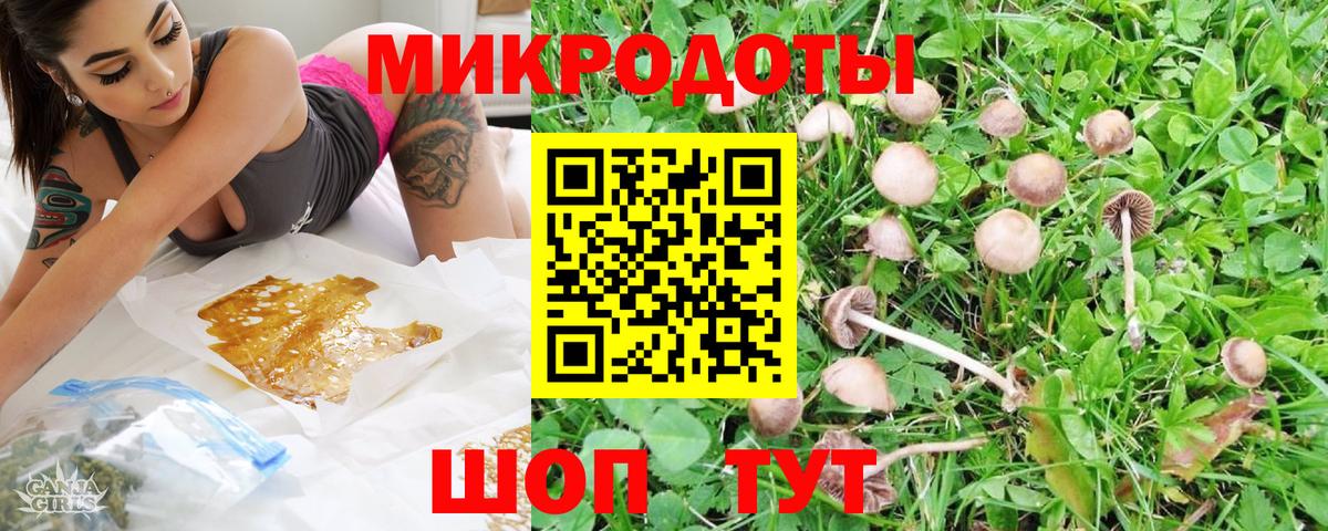 Псилоцибиновые грибы прущие грибы Волоколамск
